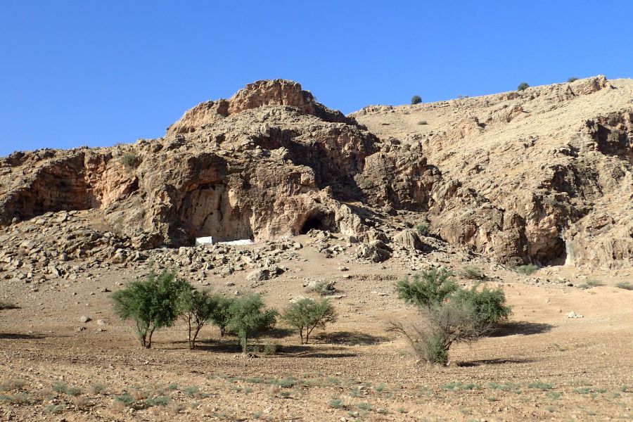 Die Ergebnisse von der Fundstelle Ghar-e Boof zeigen, dass sich die dortigen Homininen unter anderem auch von Raubtieren und Schildkröten ernährten. (Foto: N. Conard)