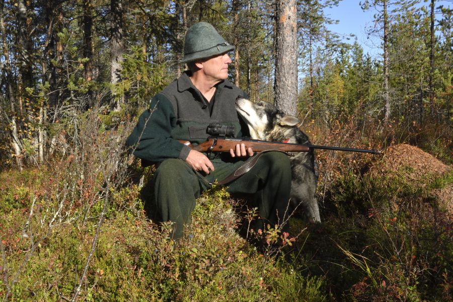 Ein gutes Gefühl zu wissen, dass man seinem vierbeinigen Jagdhelfer vor einem Wolfsangriff retten kann, sollte es nötig sein. Hier ein schwedischer Jäger mit seinem Jagdhund auf einer Elchjagd. (Symbolbild: iStock/LOJ5407)