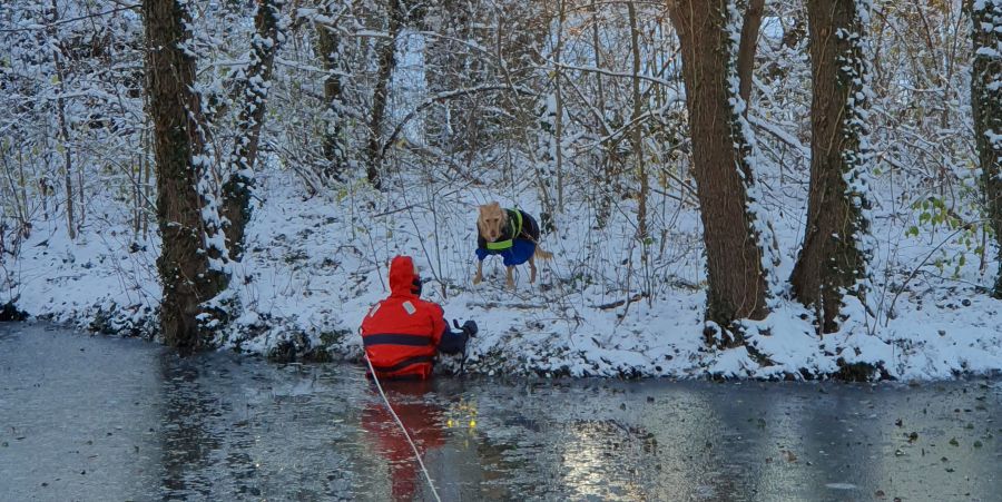 Der Hund wartet in seiner Weste auf den nahenden Retter. (Foto: Feuerwehr Stuttgart)