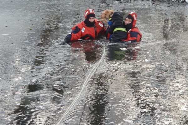 Hund in Eisfläche eingebrochen