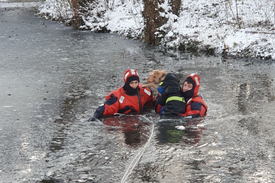 Rettung aus dem Riedsee. Zwei Feuerwehrleute tragen den Hund zurück ans Ufer. (Foto: Feuerwehr Stuttgart)