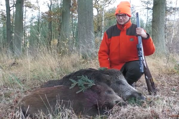 Drückjagd mit der Doppelbüchse in der Altmark und der Uckermark