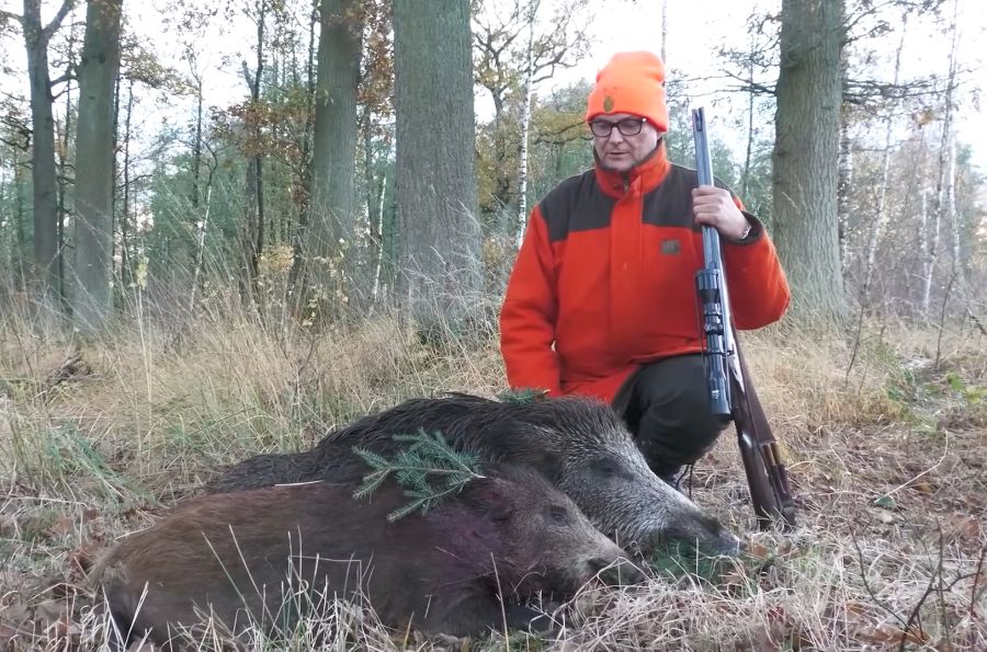 Kai-Uwe Kühl von K&K Premiumjagd mit zwei erlegten Wildschweinen. (Foto: K&K Premiumjagd)