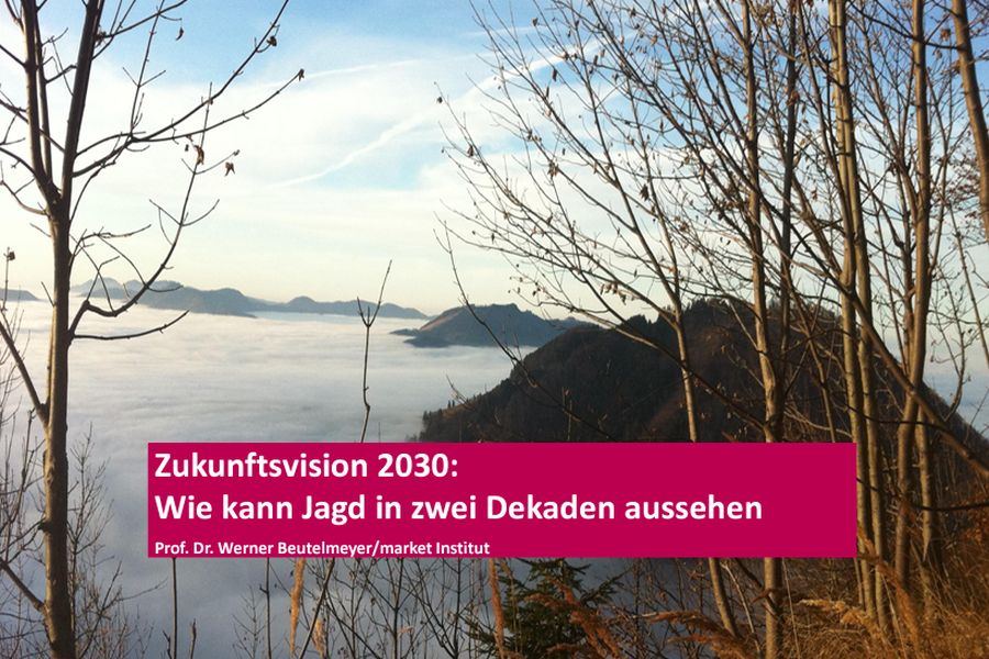 Quelle: Studie „Zukunftsvision 2030“