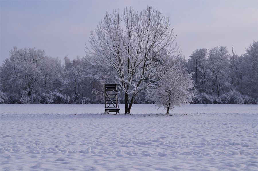 Ein Hochsitz auf einem verschneiten Acker. (Symbolbild: Daniel Moser auf Pixabay)