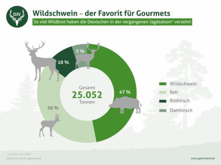 Verzehr von Wildbret in Deutschland 2022/23: Spitzenreiter ist das Wildschwein. (Quelle: DJV)