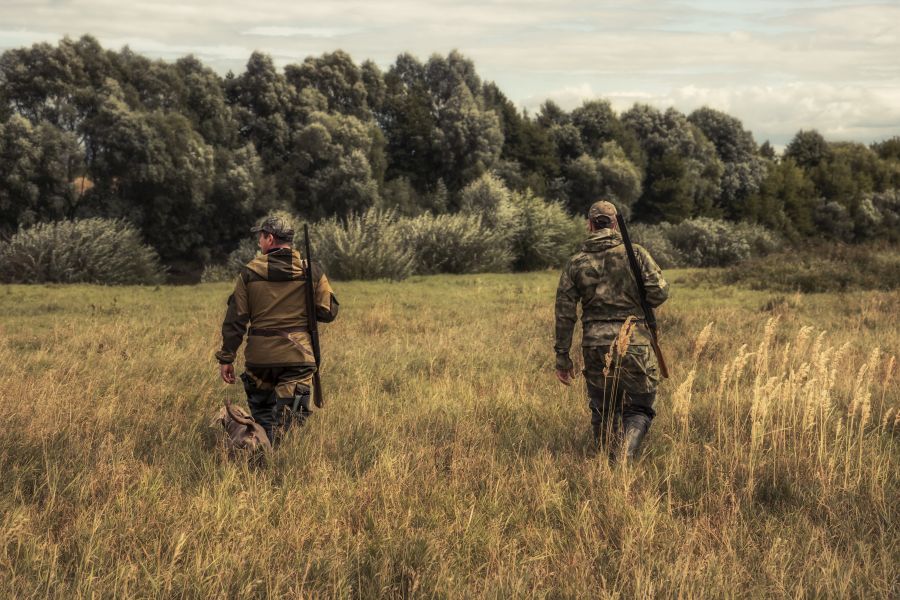 Zwei Jäger gehen mit geschulterten Flinten und einem Jagdhund durch hohes Gras. (Symbolbild: iStock/splendens)