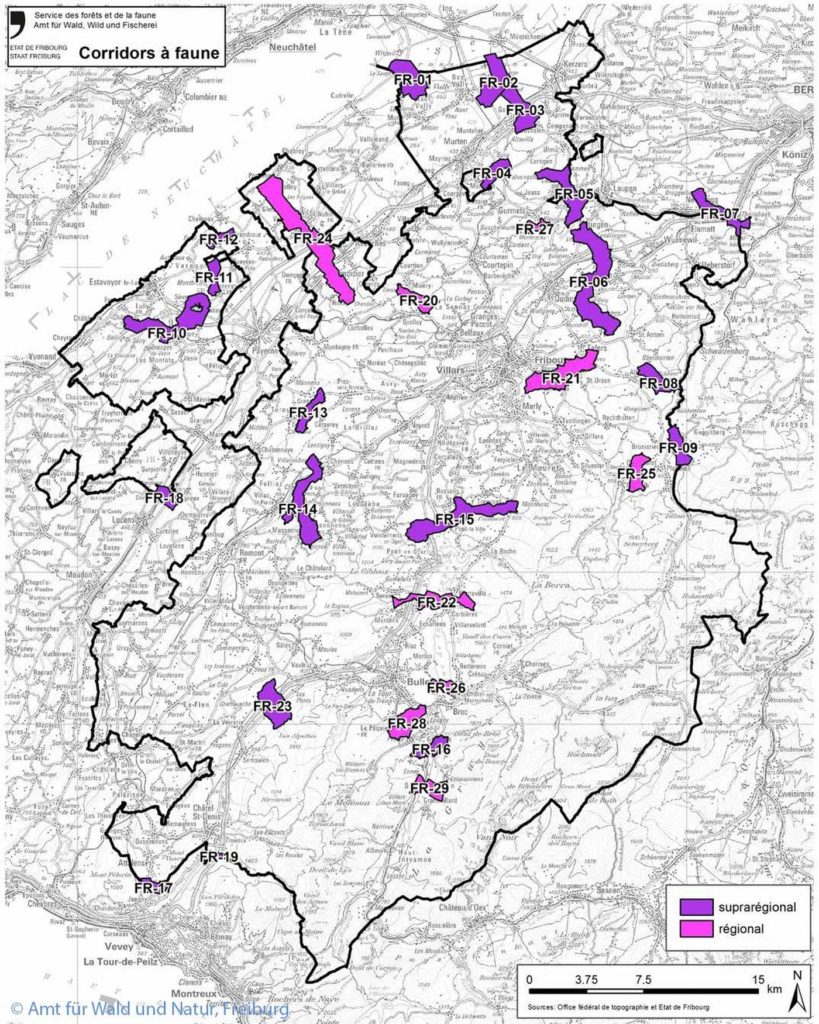 Klassifizierung der Wildtierkorridore im Kanton Freiburg. (Quelle: © Amt für Wald und Natur, Freiburg)