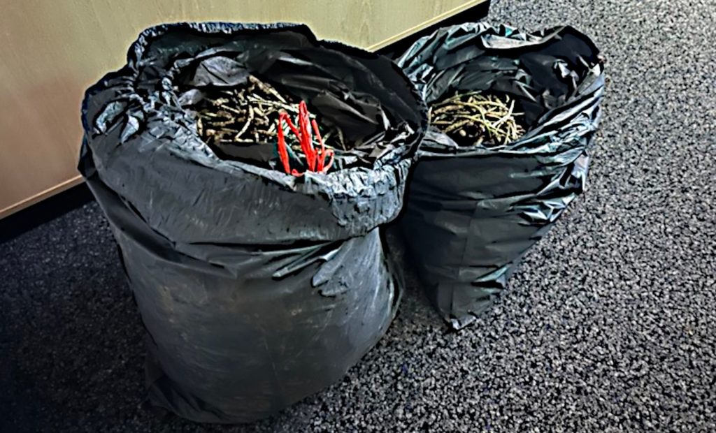 Ca. 40 Kilogramm Bärlauch in Säcken wurden sichergestellt. (Quelle: Polizei) 