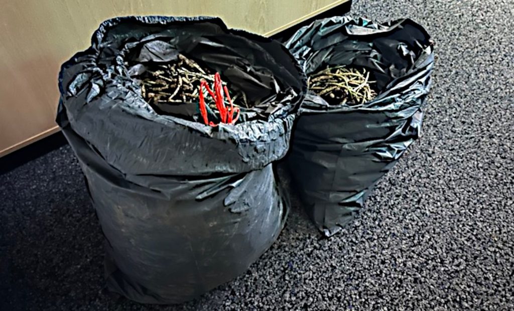 Ca. 40 Kilogramm Bärlauch in Säcken wurden sichergestellt. (Quelle: Polizei)