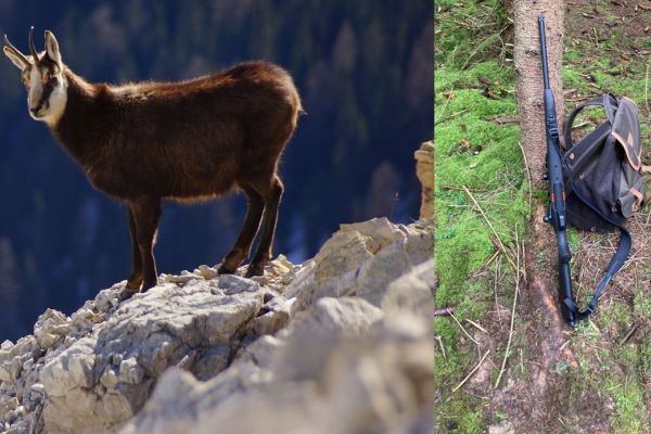 Gewehr vergessen – Jagdschein weg