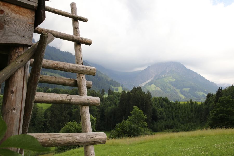 Die Leiter eines Hochsitzes vor einer Bergkulisse. (Symbolbild: Tanja auf Pixabay)