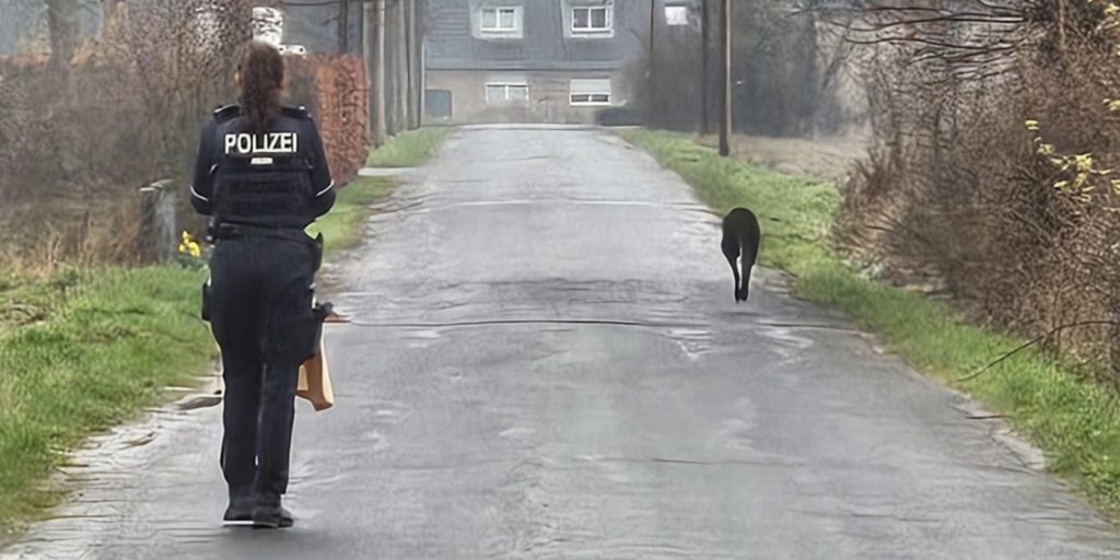 Eine Polizistin auf der Fährte des Kängurus. (Foto: Polizei)