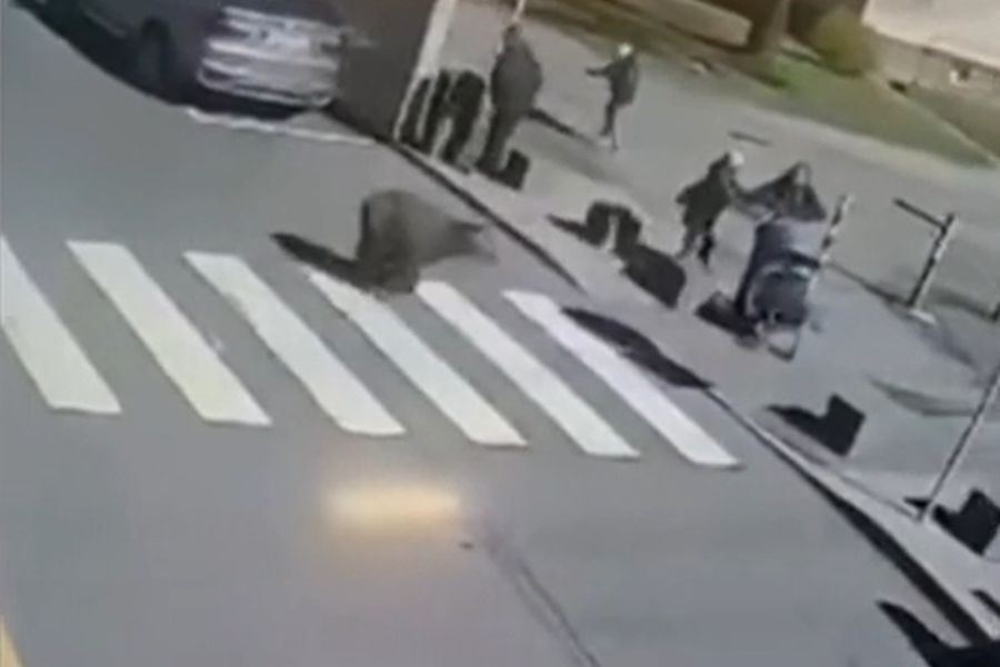 Zu sehen ist hier, wie der Bär über einen Zebrastreifen läuft, über den auch Zwei Frauen mit einem Kinderwagen gehen wollten. (Quelle: Video-Screenshot)