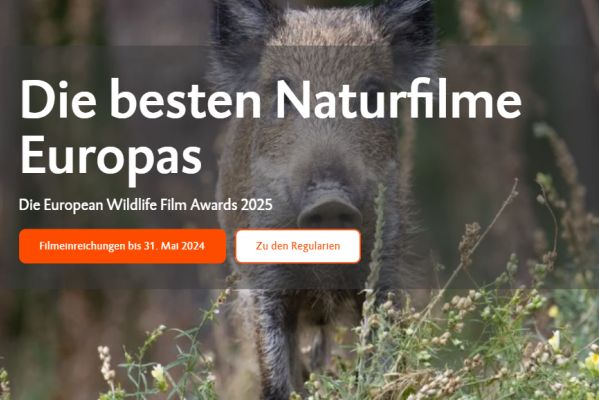 Deutsche Wildtier Stiftung ruft European Wildlife Film Awards ins Leben