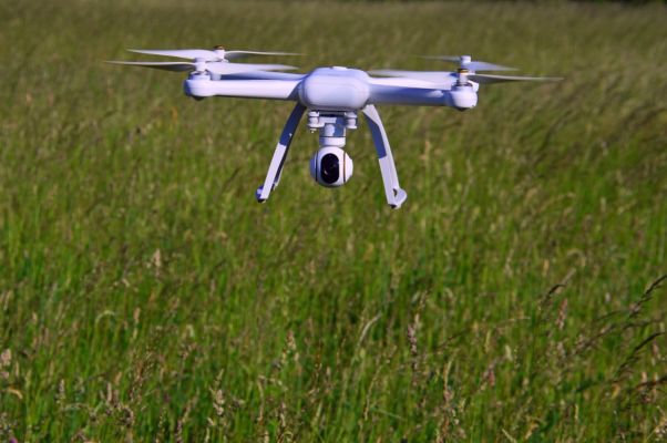 Rehkitzrettung: BMEL legt Drohnen-Förderung neu auf