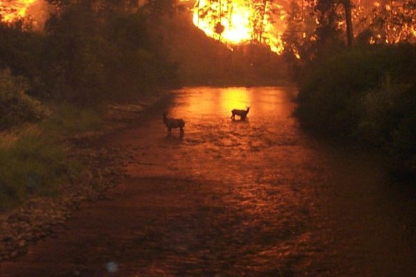 Nordrhein-Westfalen richtet erste Waldbrandüberwachungszentrale „Fire Watch“ ein