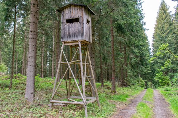 Bewusst Verletzung oder Tod von Jägern in Kauf genommen