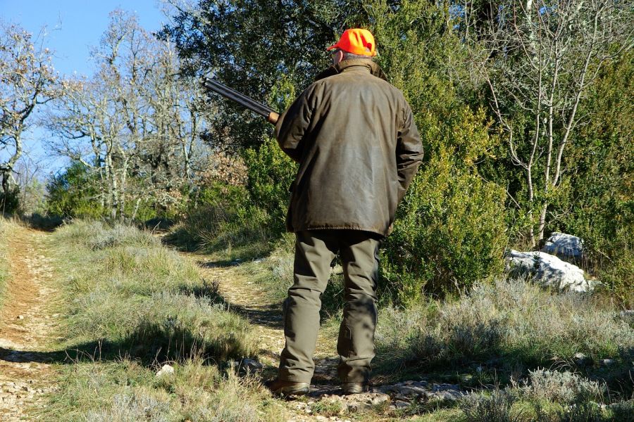 Ein Jäger, der mit einer Flinte in der Hand und einer orangefarbenen Kappe auf dem Kopf, an einem Feldweg steht. (Symbolbild: jacqueline macou auf Pixabay) 