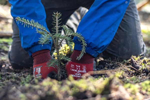 Bergwaldprojekt e.V. ausgezeichnet