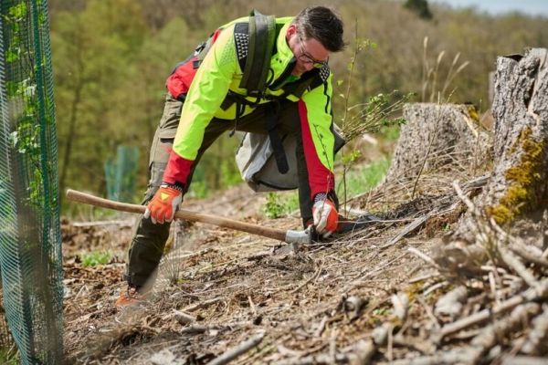 22 Millionen Euro für die Wiederbewaldung: NRW fördert Waldbesitzer