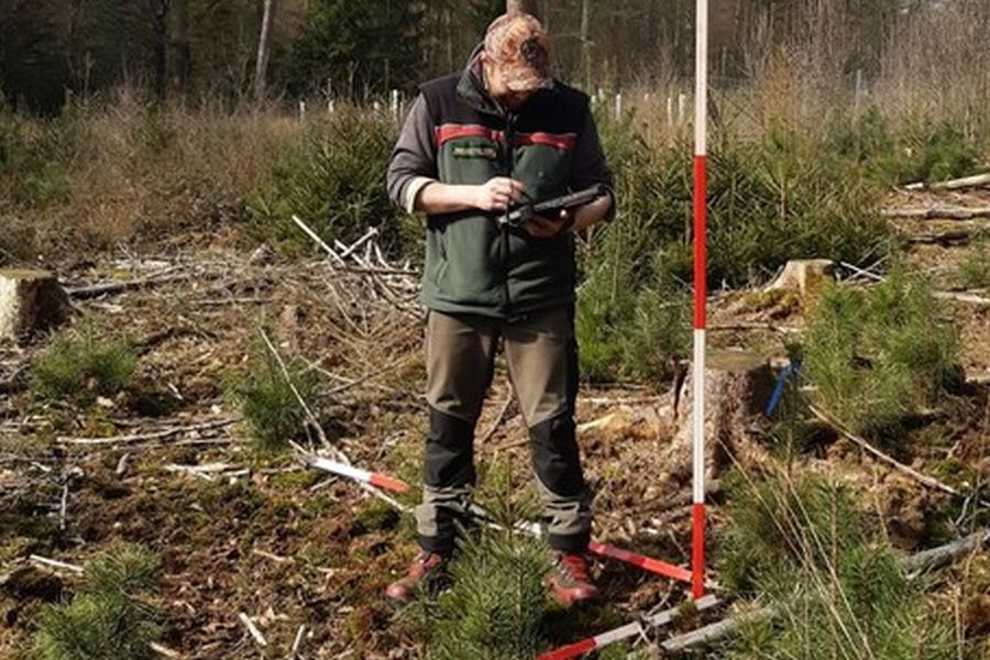 Ein Förster während der Verbissaufnahme. (Foto: Wald und Holz NRW)