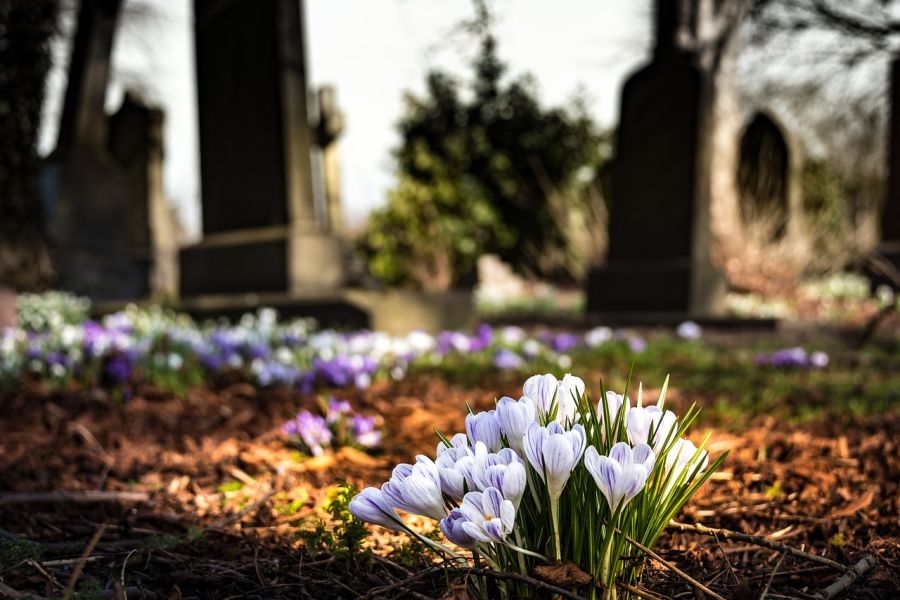 Friedhof im Frühjahr. (Symbolbild: drippycat auf Pixabay)